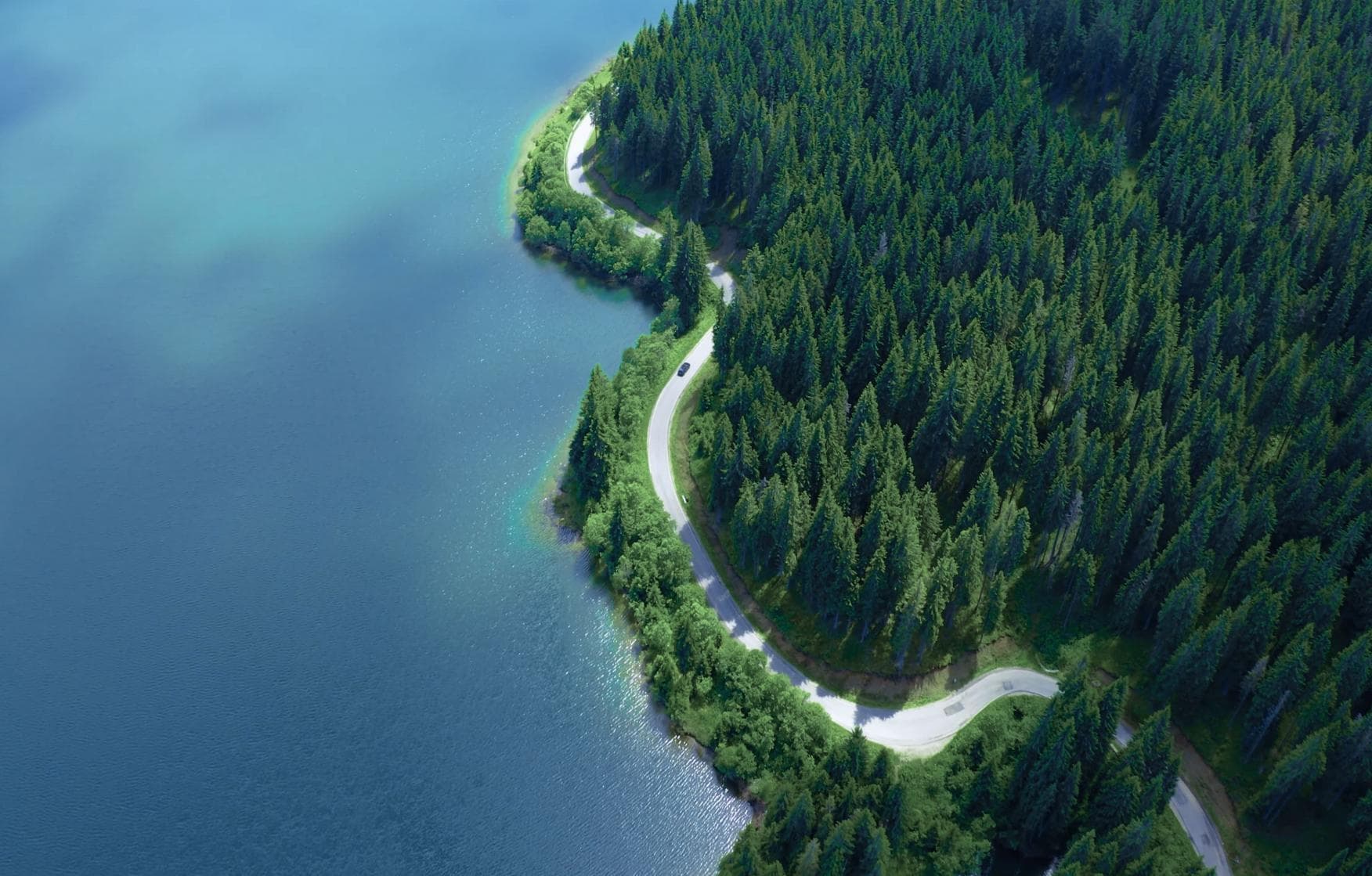 A winding road through a lush green forest, symbolizing a green journey